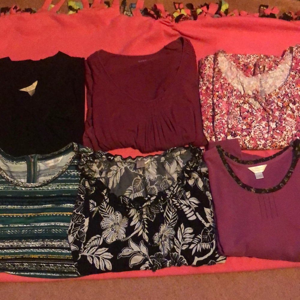 6, sixes 1X tops. Various colors and brands.